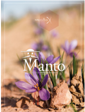 Revista Manto 2017